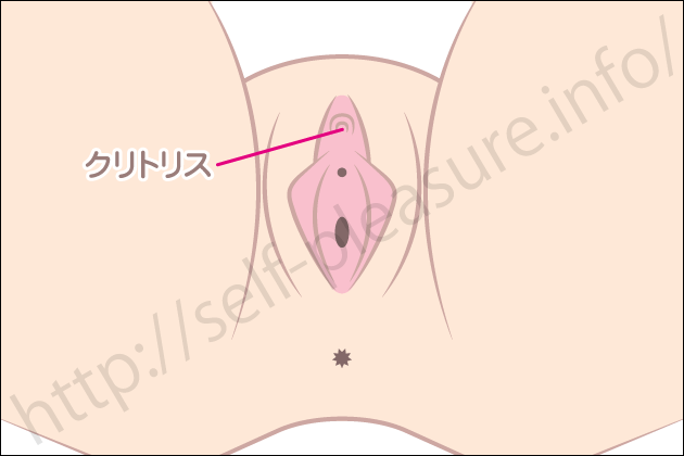 �N���g���X�I�i�j�[�̂����I�����ő�̐����уN���I�i�̕��@�Ƃ́H