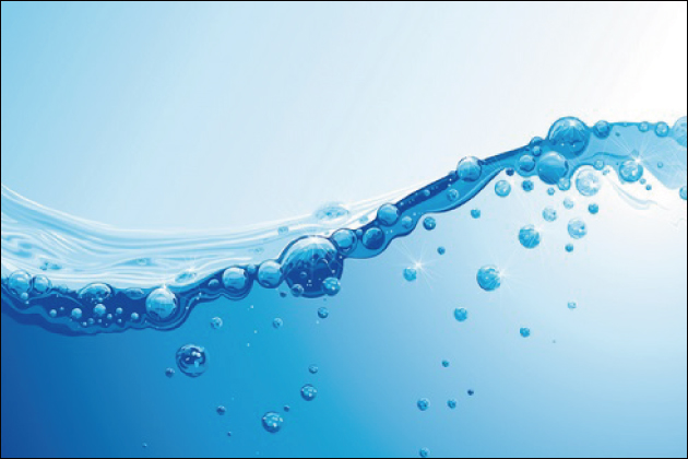 �A�_���g�O�b�Y�́u�o�C�u���[�^�[�v�Ƃ́H�o�C�u�̎�ނƃI�X�X�����i