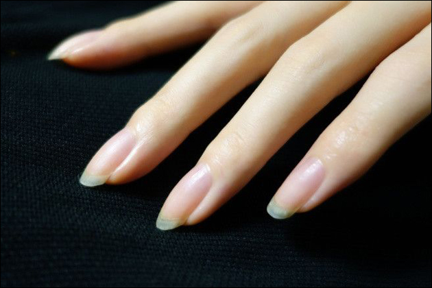 �I�i�j�[�̒��ӓ_�I���������S�E���S�ɃI�i�j�[����ׂɐS�|���鎖�Ƃ́H