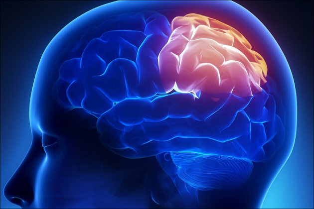 �������Z�b�N�X�Ŗ��������ׂɕK�v��3�̃|�C���g�Ƃ́H