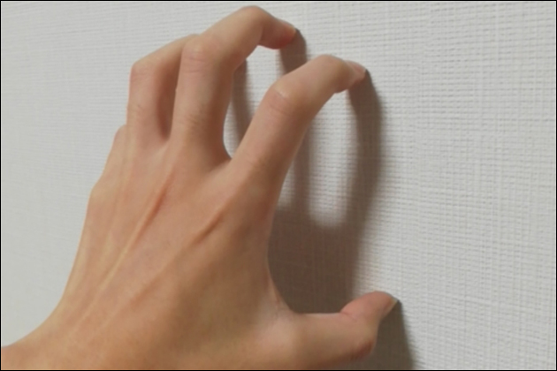 ����I�i�j�[�̂����I�����ς����h���������I�i�j�[�̕��@�Ƃ́H