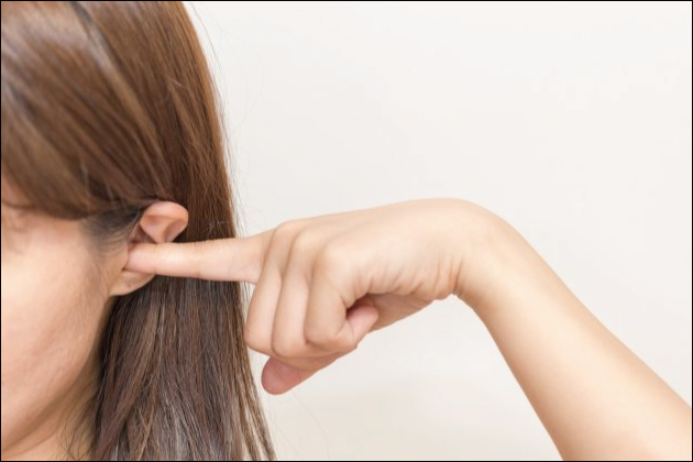 �A�_���g�O�b�Y�́u�o�C�u���[�^�[�v�Ƃ́H�o�C�u�̎�ނƃI�X�X�����i