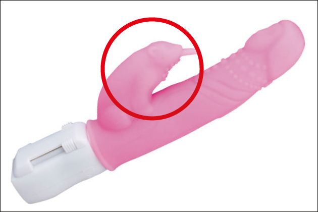 �A�_���g�O�b�Y�́u�o�C�u���[�^�[�v�Ƃ́H�o�C�u�̎�ނƃI�X�X�����i