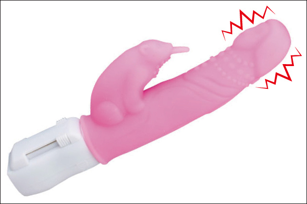 �A�_���g�O�b�Y�́u�o�C�u���[�^�[�v�Ƃ́H�o�C�u�̎�ނƃI�X�X�����i